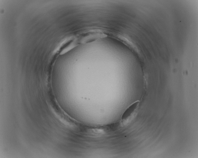 X0000074290159200609151926