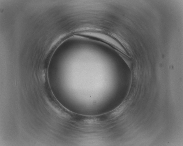 X0000074290160200609151926