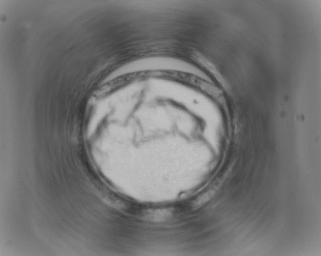 X0000074290161200609151926