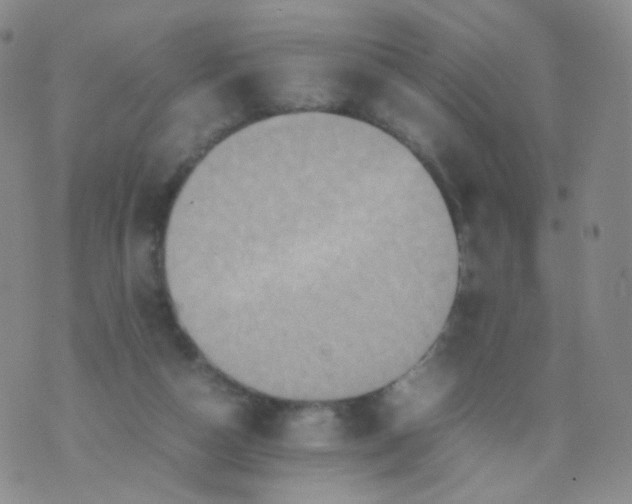 X0000074290162200609151926