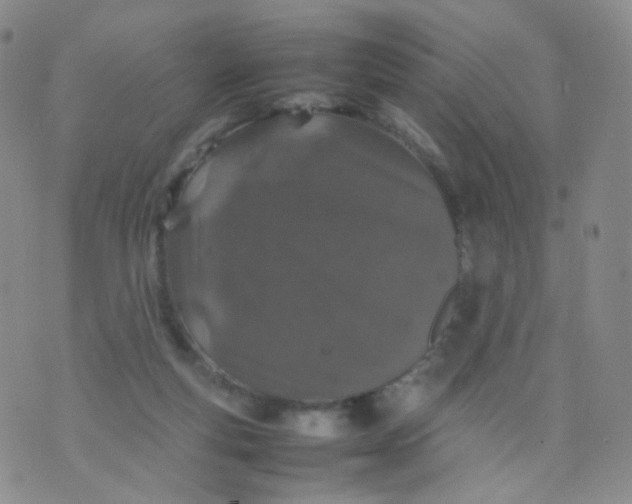 X0000074290163200609151926