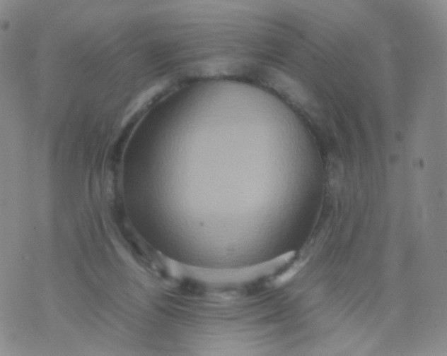 X0000074290164200609151926