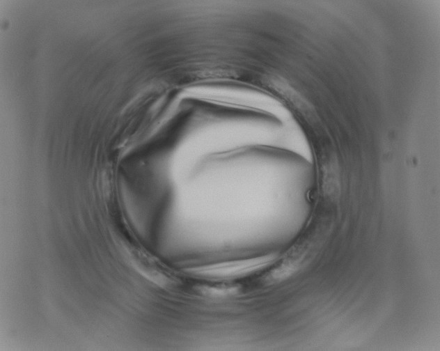 X0000074290165200609151926