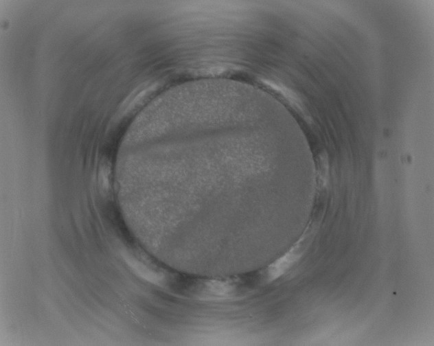 X0000074290166200609151926