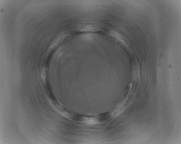 X0000074290167200609151926