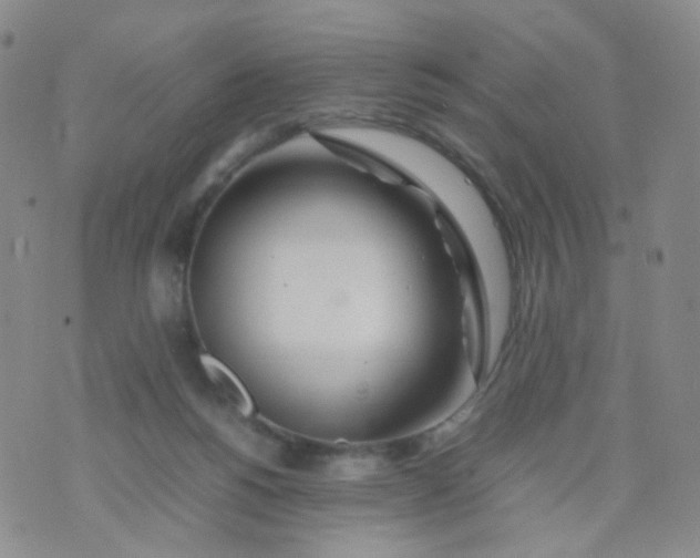 X0000074290168200609151926