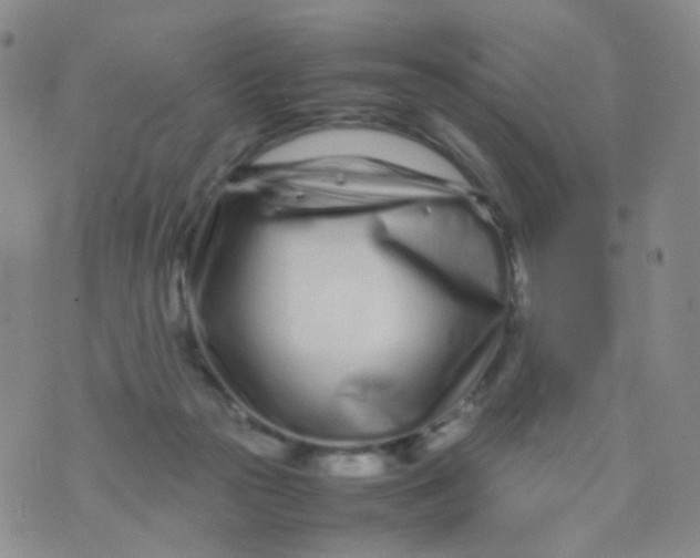 X0000074290169200609151926