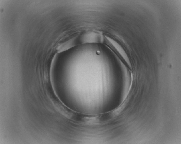 X0000074290170200609151926