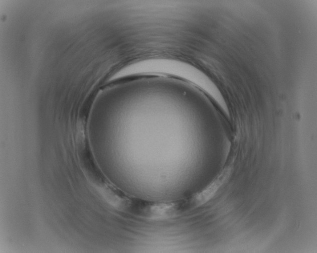 X0000074290172200609151926