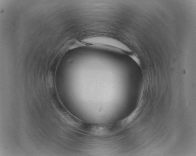 X0000074290174200609151926