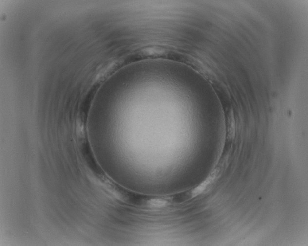 X0000074290176200609151926