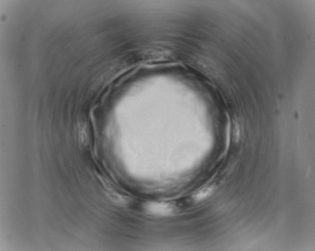 X0000074290177200609151926