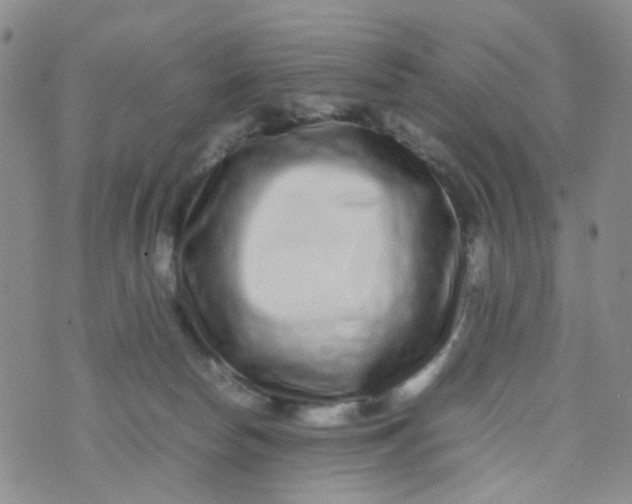 X0000074290178200609151926