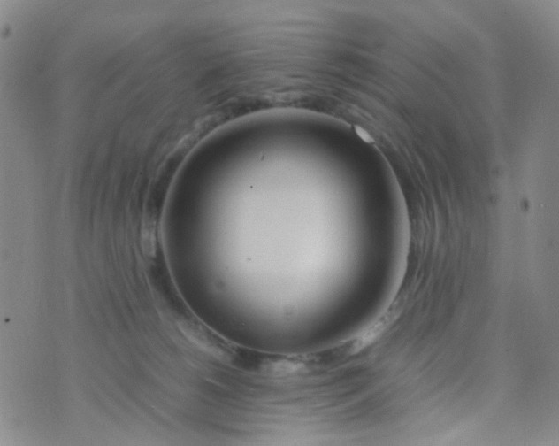 X0000074290180200609151926