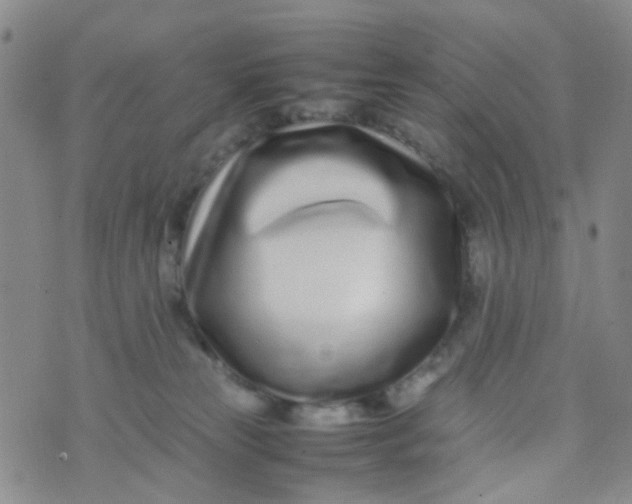 X0000074290181200609151926