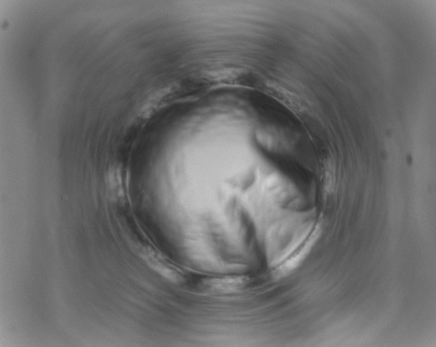 X0000074290182200609151926