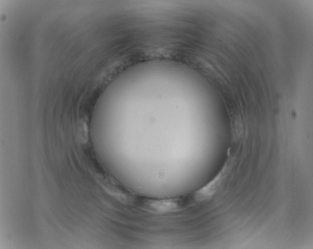 X0000074290183200609151926