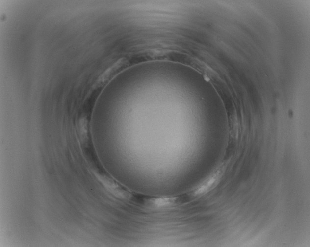 X0000074290184200609151926