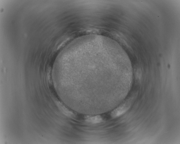 X0000074290185200609151926