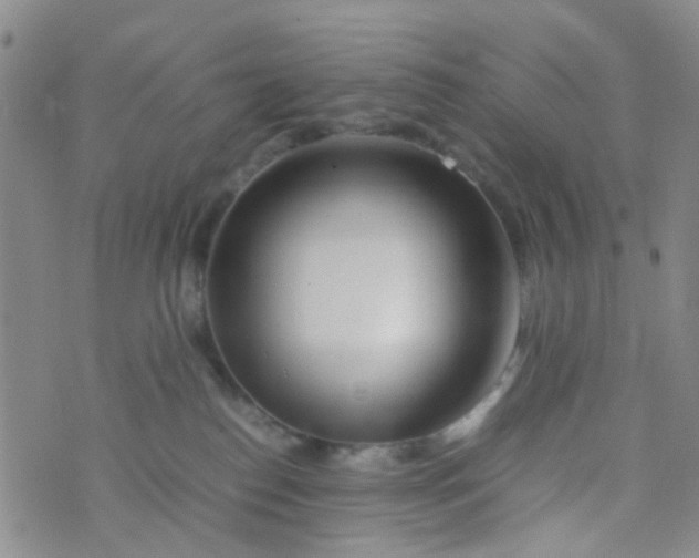 X0000074290186200609151926