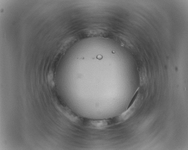 X0000074290187200609151926