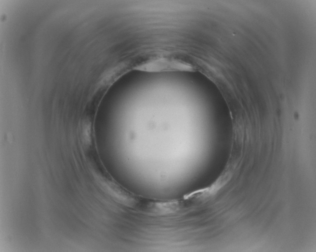 X0000074290188200609151926