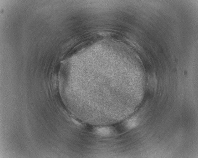 X0000074290189200609151926