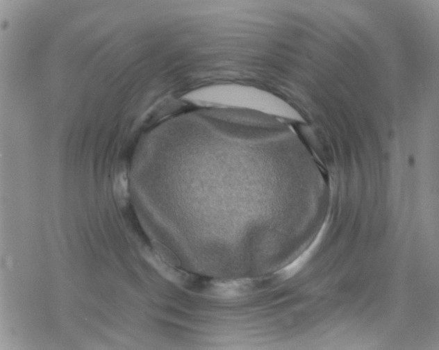 X0000074290190200609151926