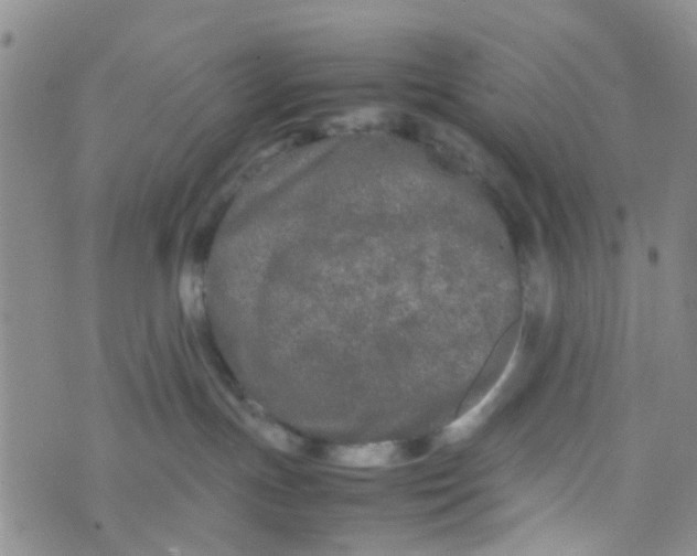 X0000074290191200609151926