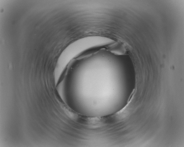 X0000074290192200609151926