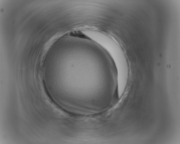 X0000074290193200609151925