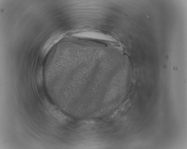 X0000074290194200609151925