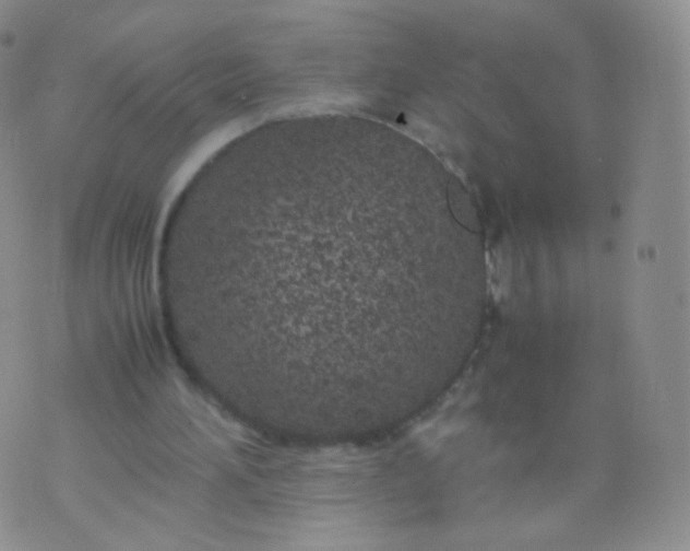 X0000074290196200609151925