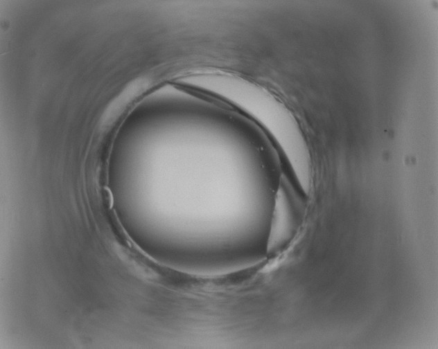 X0000074290197200609151925