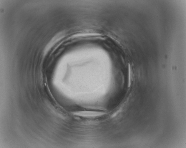 X0000074290198200609151925