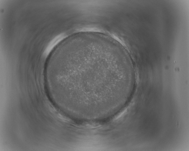 X0000074290199200609151925