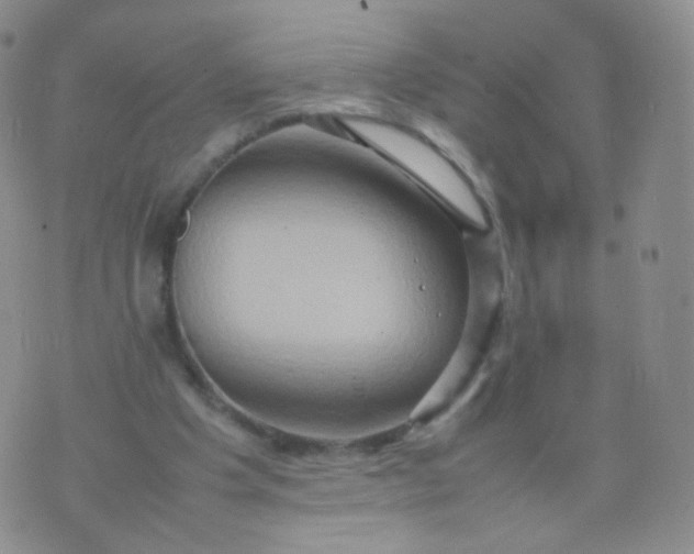 X0000074290201200609151925