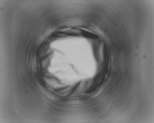 X0000074290202200609151925