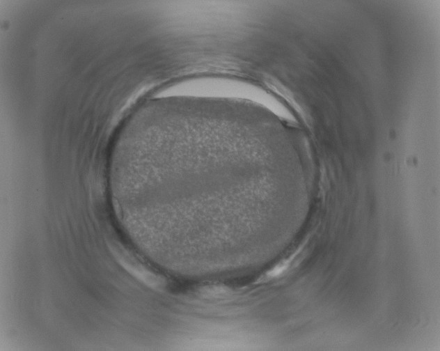 X0000074290203200609151925