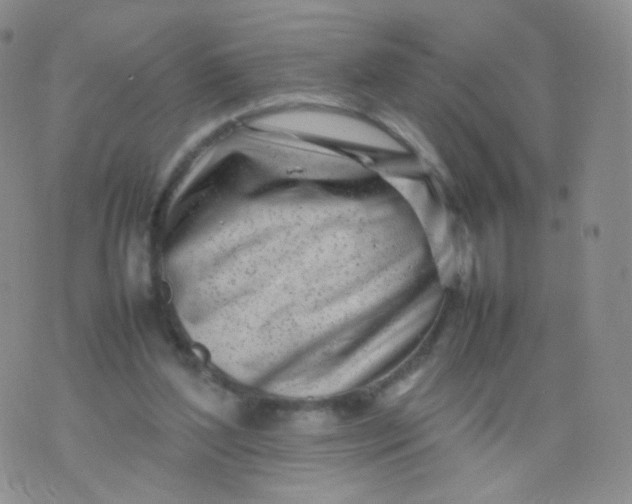 X0000074290204200609151925