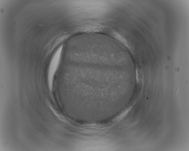 X0000074290205200609151925