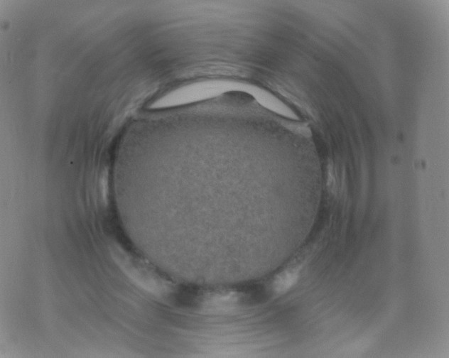 X0000074290206200609151925