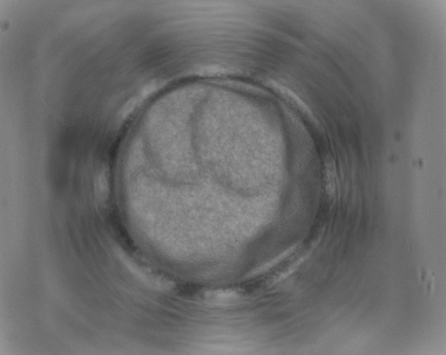 X0000074290208200609151925