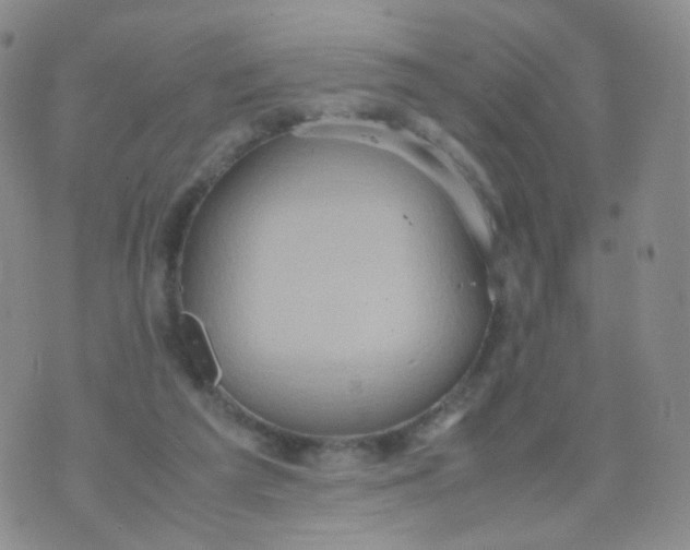 X0000074290209200609151925