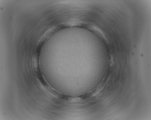 X0000074290210200609151925