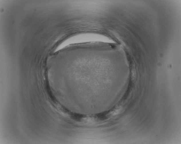 X0000074290211200609151925