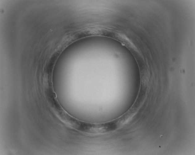 X0000074290213200609151925