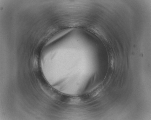 X0000074290214200609151925