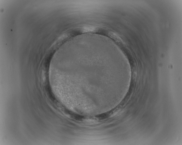 X0000074290215200609151925