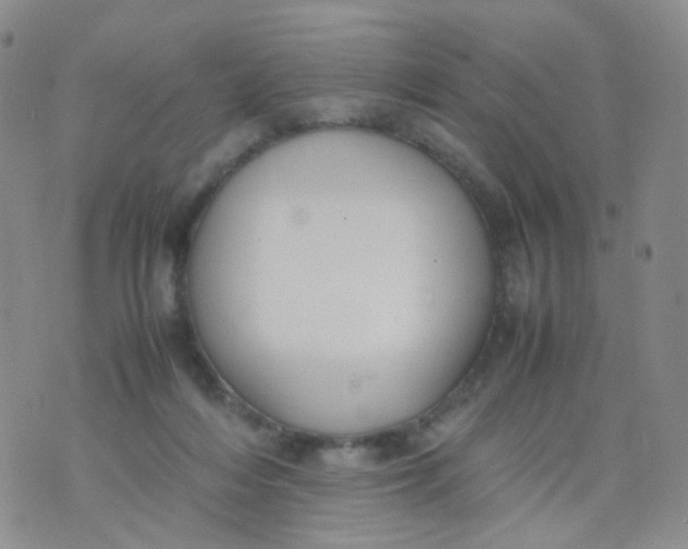 X0000074290216200609151925